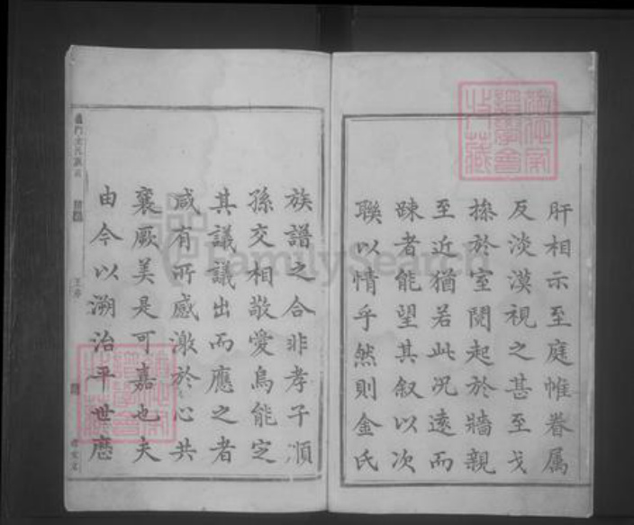 湖南省邵阳市金氏族谱-义门金氏族谱 [8卷].pdf电子版插图4