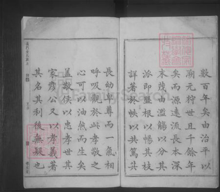 湖南省邵阳市金氏族谱-义门金氏族谱 [8卷].pdf电子版插图5