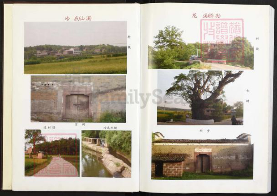 江西省上饶市上饶县花厅镇金氏族谱-金氏宗谱.pdf电子版插图4 江西省上饶市上饶县花厅镇金氏族谱-金氏宗谱.pdf电子版插图4