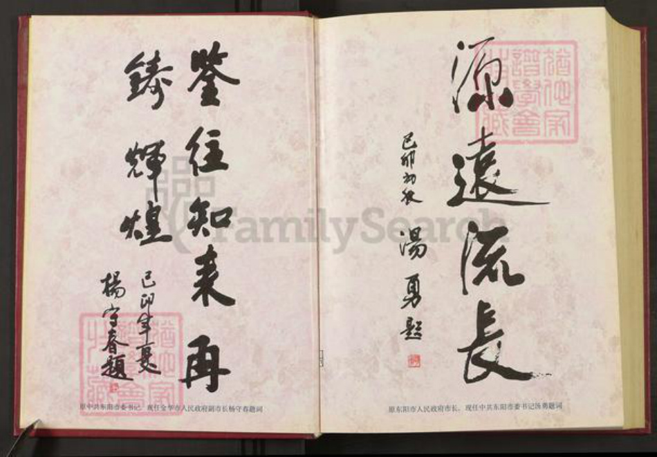 浙江省金华市东阳市巍山镇金氏族谱-刘金氏村史志.pdf电子版插图4