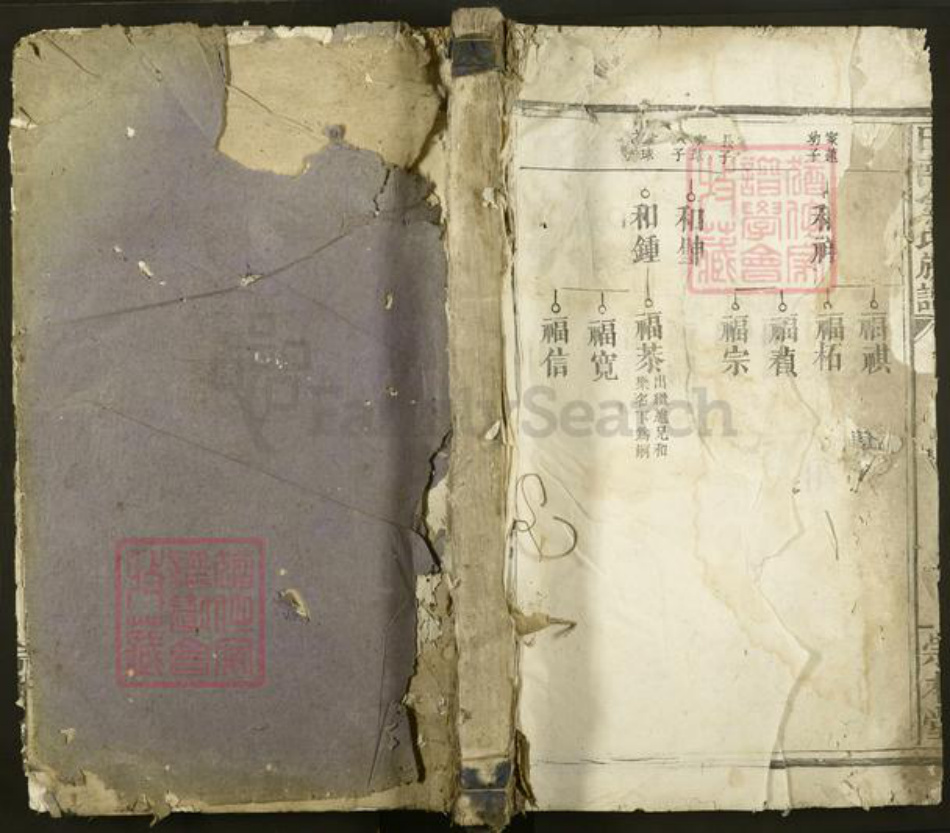 江西省宜春市丰城市隍城镇金氏崇本堂族谱-田南金氏族谱.pdf电子版