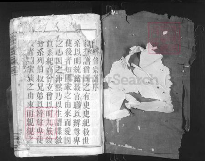 浙江省绍兴嵊州市三江街道金氏尊亲堂族谱-剡南谢慕金氏宗谱.pdf电子版插图1