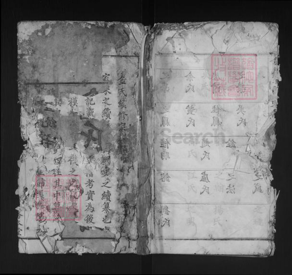 湖北省黄冈市红安县金氏务本堂族谱-金氏宗谱.pdf电子版