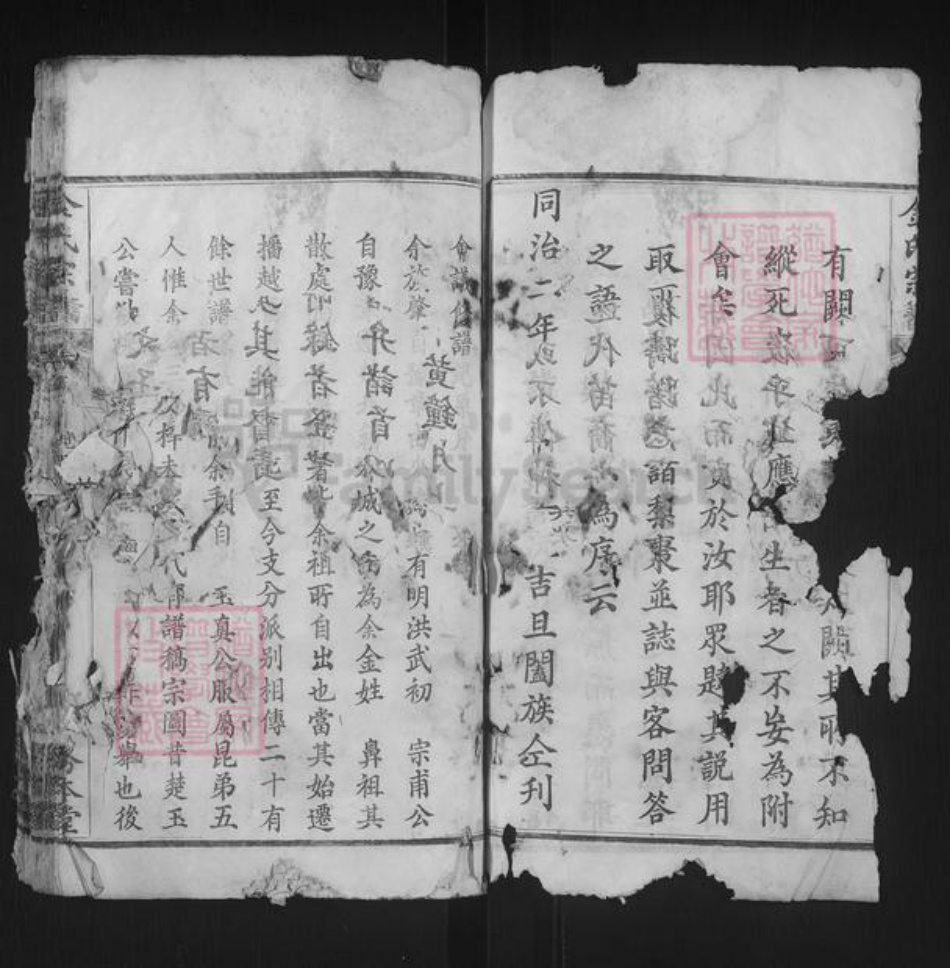 湖北省黄冈市红安县金氏务本堂族谱-金氏宗谱.pdf电子版插图1