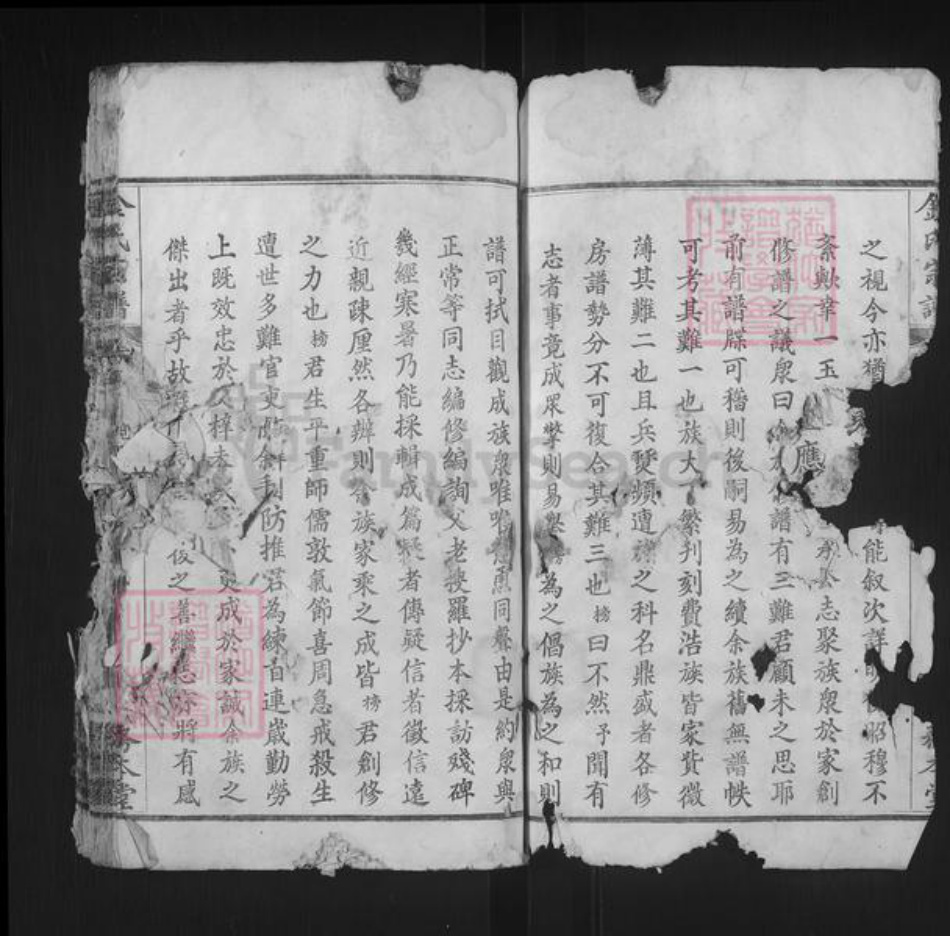 湖北省黄冈市红安县金氏务本堂族谱-金氏宗谱.pdf电子版插图2