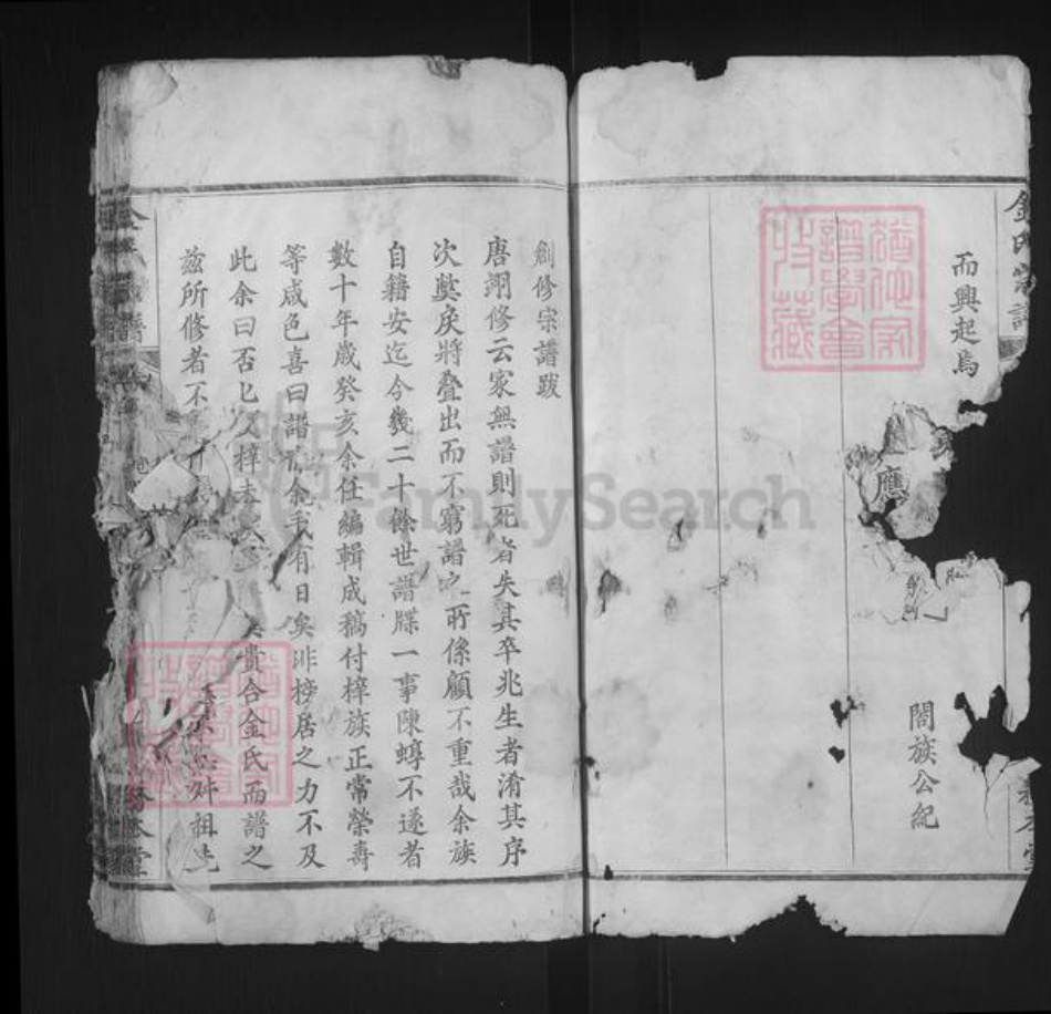 湖北省黄冈市红安县金氏务本堂族谱-金氏宗谱.pdf电子版插图3