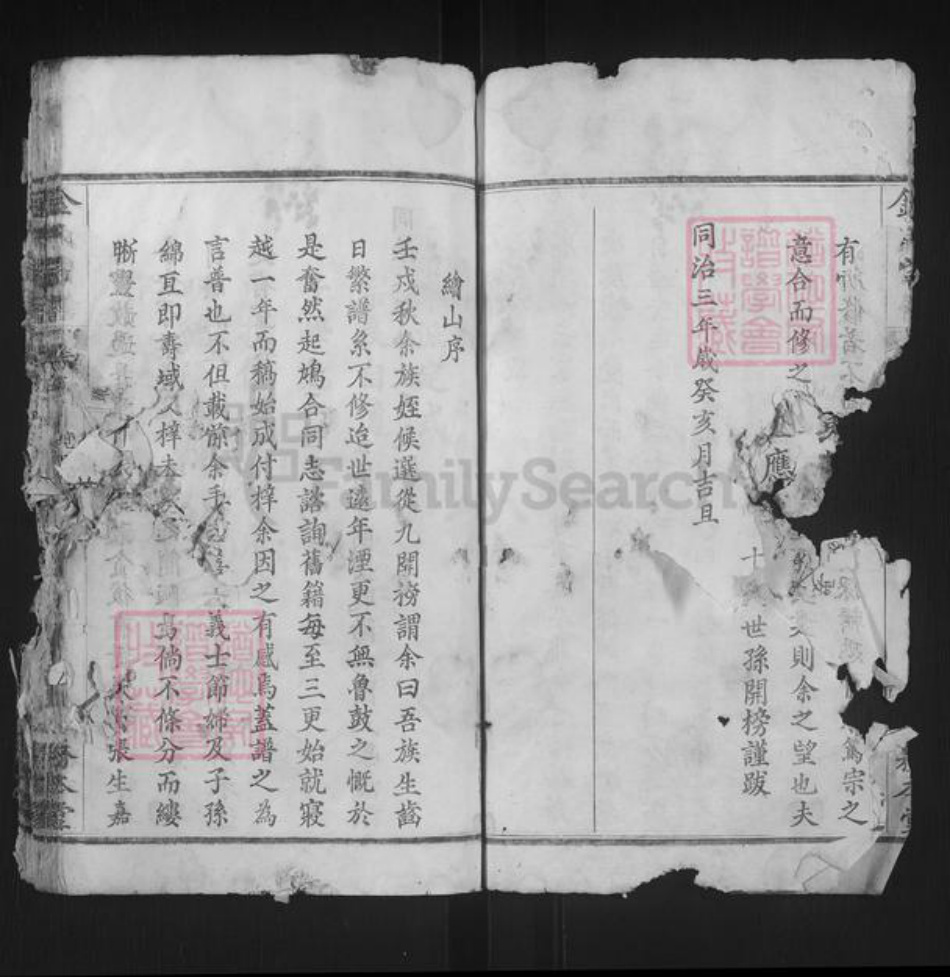 湖北省黄冈市红安县金氏务本堂族谱-金氏宗谱.pdf电子版插图4