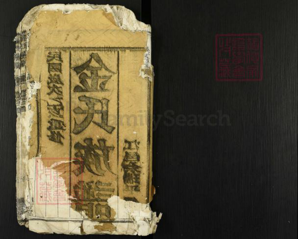 江苏省扬州市高邮市金氏宝善堂族谱-金氏家谱.pdf电子版