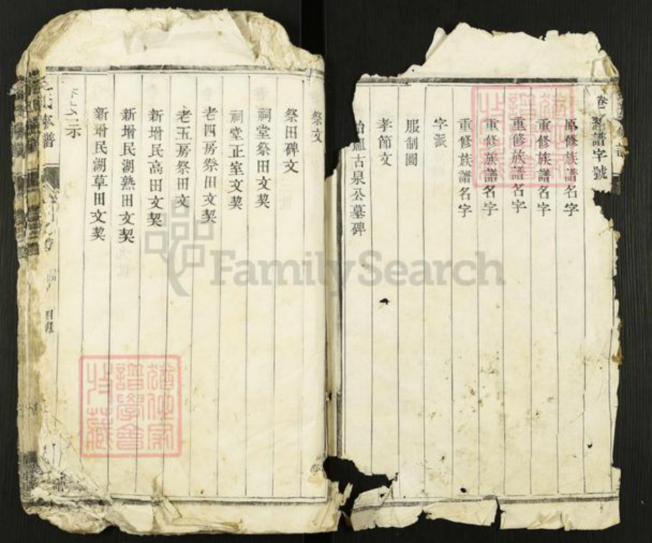 江苏省扬州市高邮市金氏宝善堂族谱-金氏家谱.pdf电子版插图1