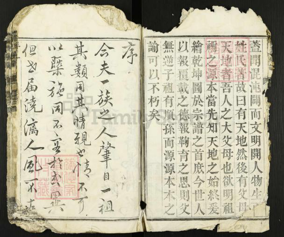 江苏省扬州市高邮市金氏宝善堂族谱-金氏家谱.pdf电子版插图4