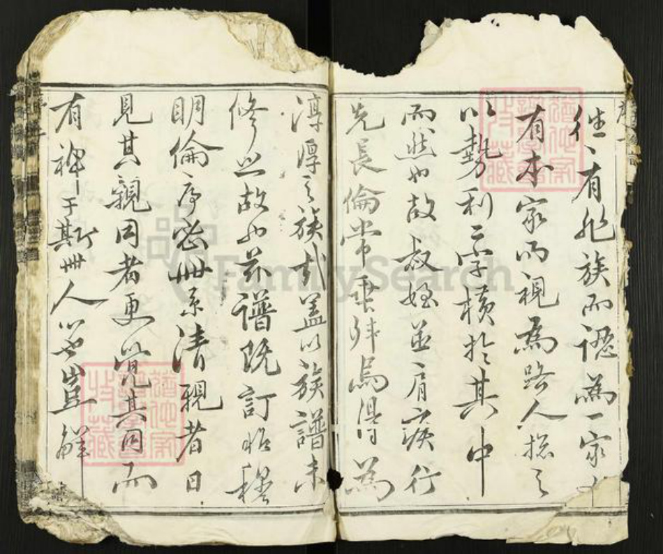 江苏省扬州市高邮市金氏宝善堂族谱-金氏家谱.pdf电子版插图5