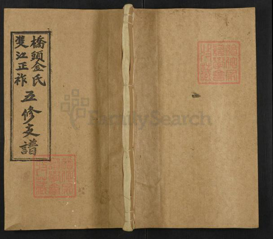 湖南省邵阳市新邵县金氏孝友堂族谱-桥头金氏双江正祚五修支谱.pdf电子版