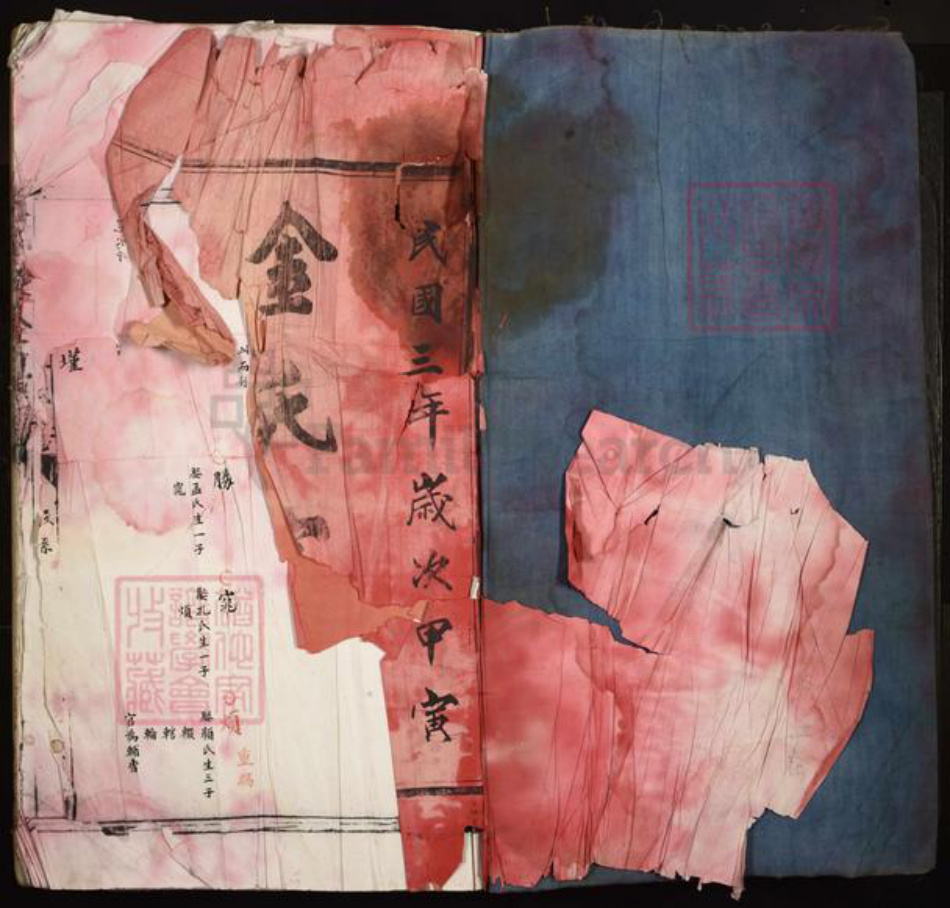 福建省宁德市周宁县荣县金氏族谱-江家洋金氏家族.pdf电子版插图1