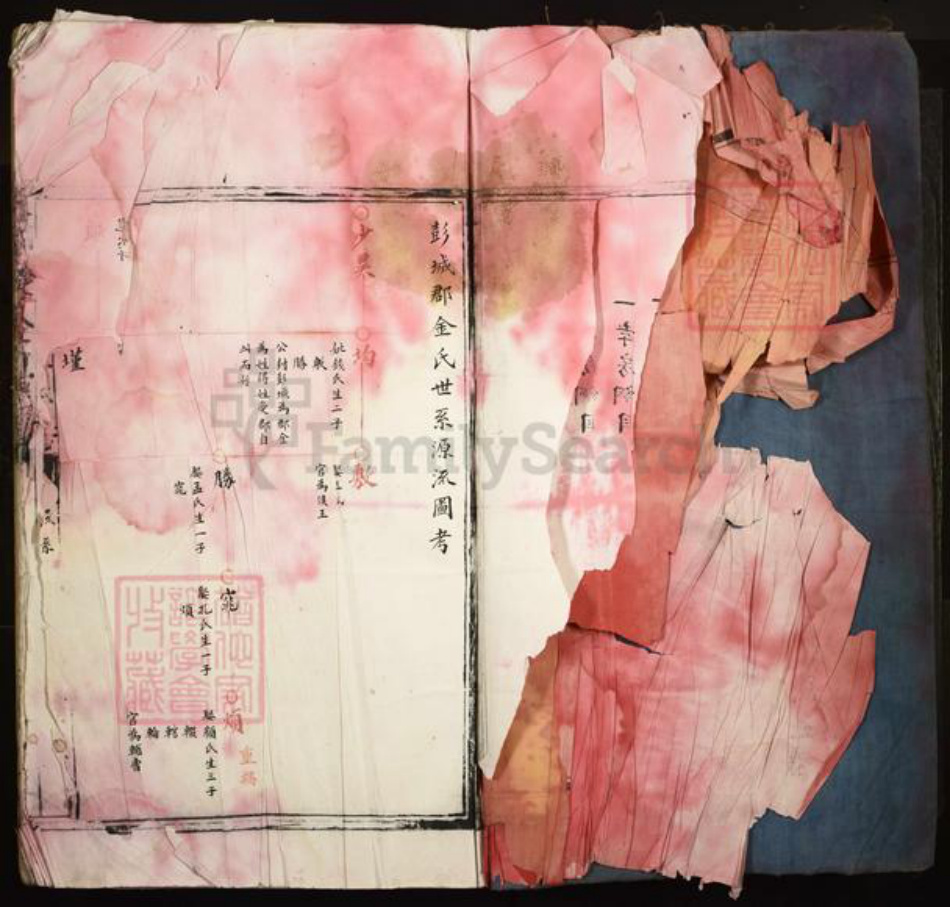 福建省宁德市周宁县荣县金氏族谱-江家洋金氏家族.pdf电子版插图3