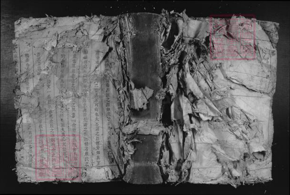 江西省吉安市泰和市苏溪镇康氏京兆堂族谱-康氏重修族谱.pdf电子版插图 江西省吉安市泰和市苏溪镇康氏京兆堂族谱-康氏重修族谱.pdf电子版插图