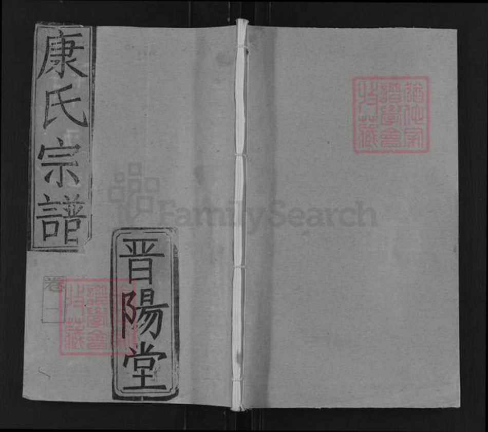 湖北省仙桃市康氏晋阳堂族谱-康氏宗谱.pdf电子版