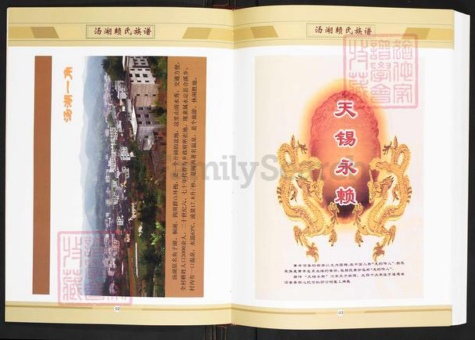 福建省龙岩市永定区合溪乡赖氏族谱-福建省永定县汤湖赖氏族谱.pdf电子版插图5