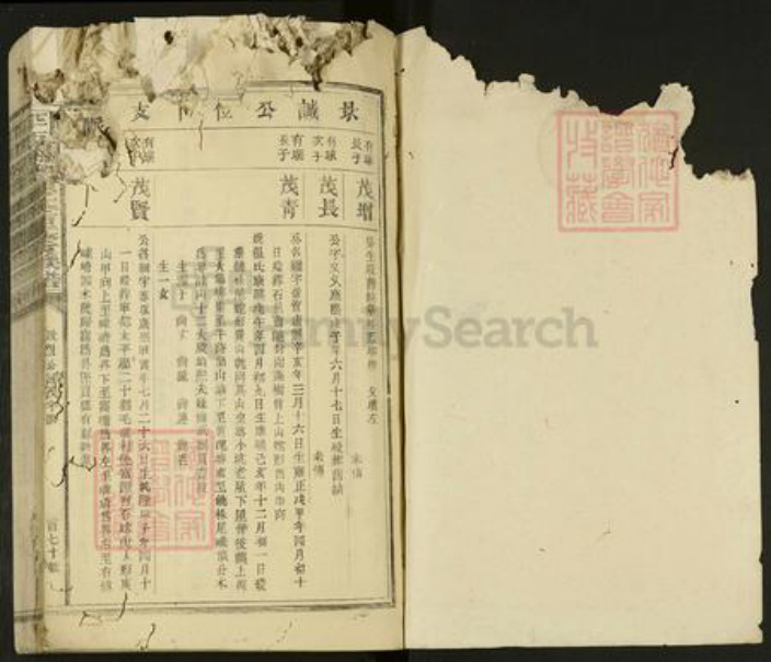 江西省抚州市广昌县驿前镇赖氏族谱-平西梅驿赖氏重修族谱.pdf电子版插图1