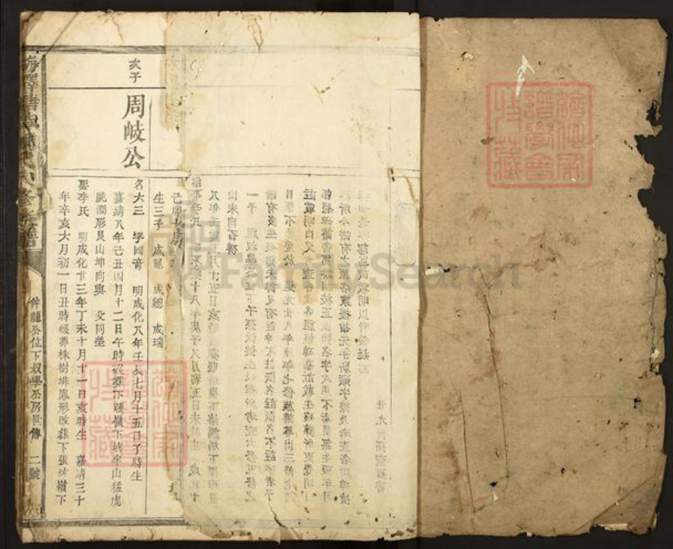 江西省抚州市广昌县赖氏族谱-梅驿塘背赖氏八修族谱.pdf电子版插图1