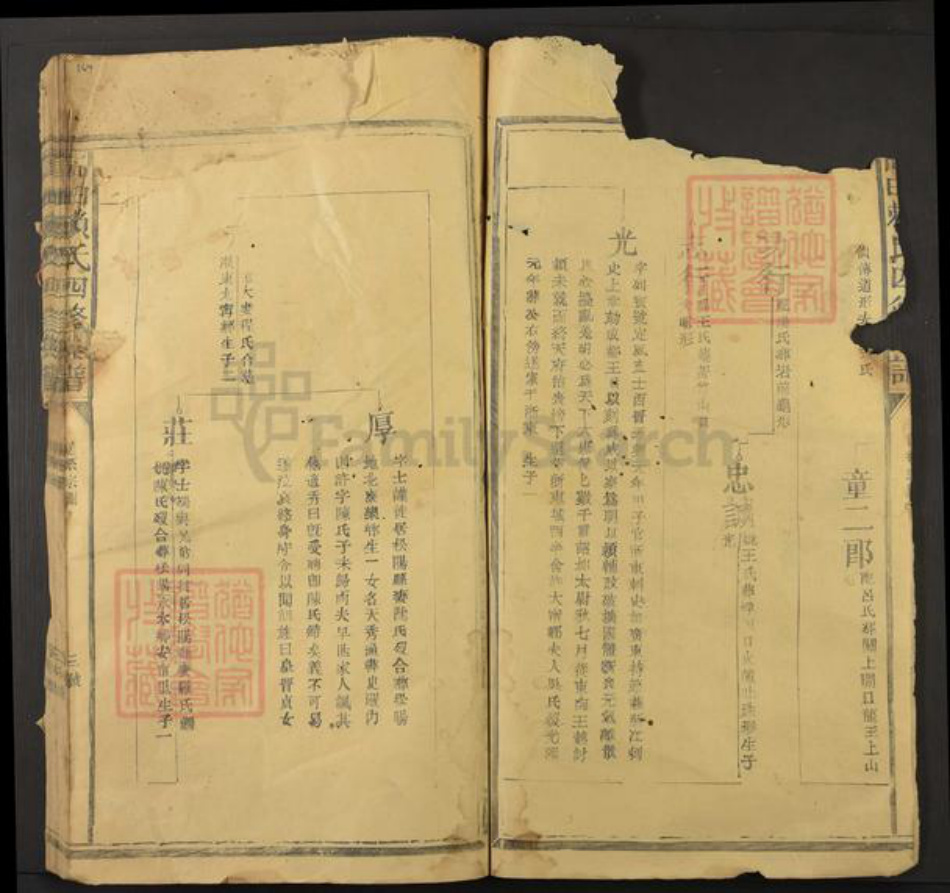 江西省抚州市资溪县高田乡赖氏族谱-高田赖氏四修族谱.pdf电子版插图3 江西省抚州市资溪县高田乡赖氏族谱-高田赖氏四修族谱.pdf电子版插图3