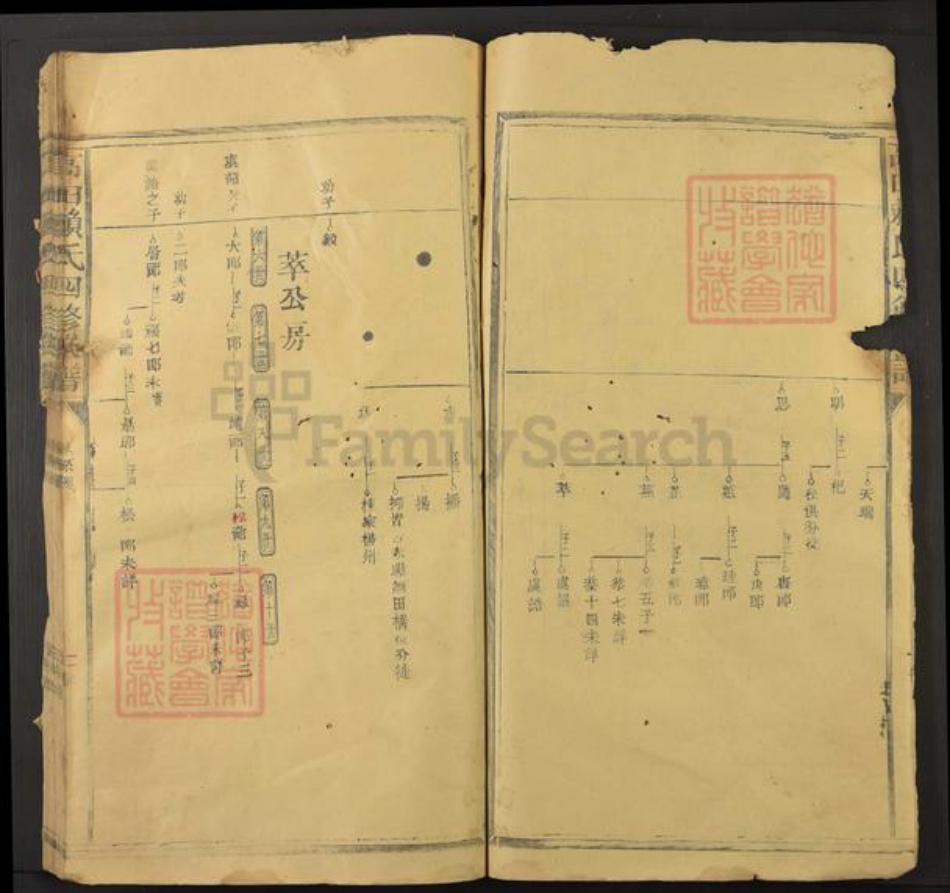 江西省抚州市资溪县高田乡赖氏族谱-高田赖氏四修族谱.pdf电子版插图5 江西省抚州市资溪县高田乡赖氏族谱-高田赖氏四修族谱.pdf电子版插图5