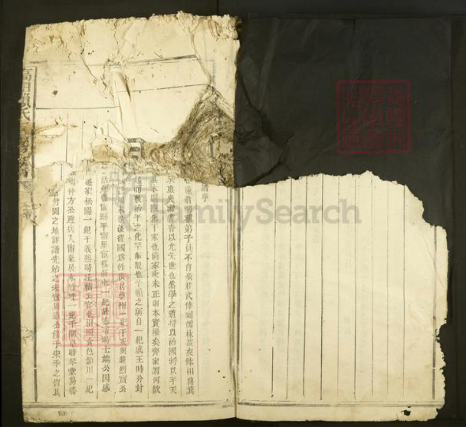 江西省赣州市石城县高田镇赖氏族谱-高田赖氏三修族谱.pdf电子版插图5 江西省赣州市石城县高田镇赖氏族谱-高田赖氏三修族谱.pdf电子版插图5