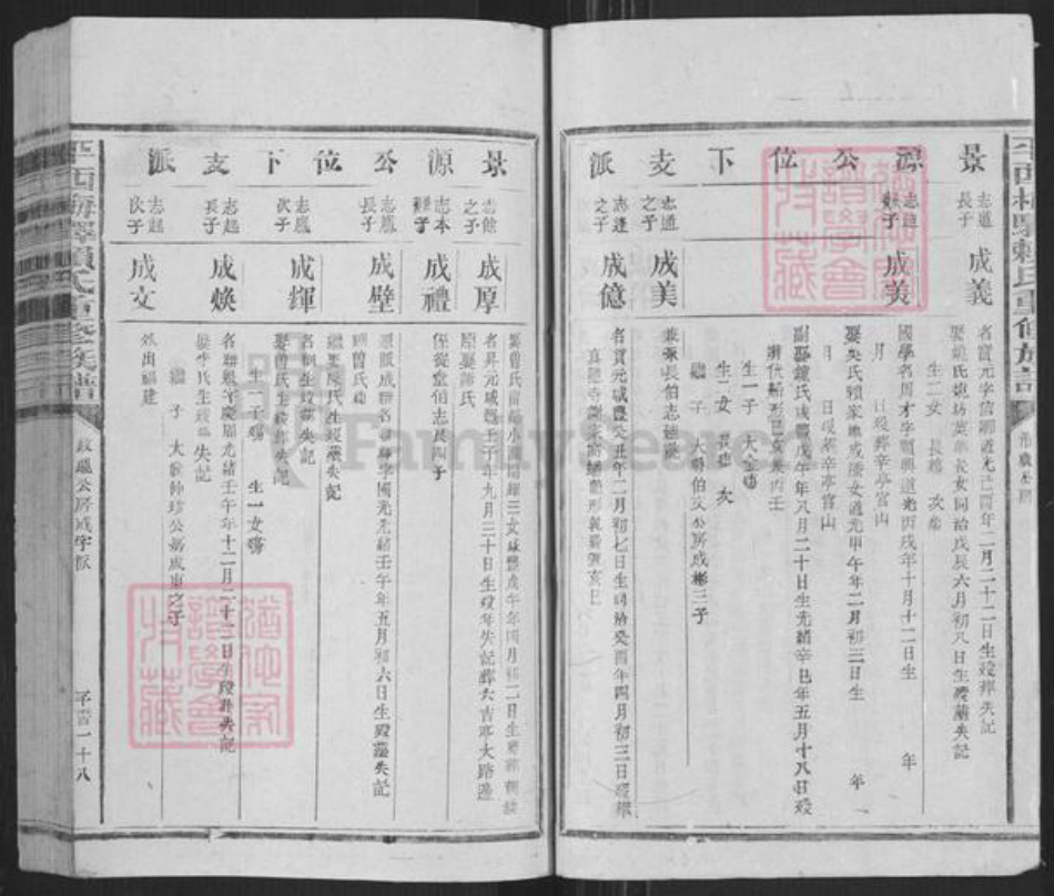 江西省抚州市广昌县驿前镇赖氏族谱-平西梅驿赖氏重修族谱.pdf电子版插图2 江西省抚州市广昌县驿前镇赖氏族谱-平西梅驿赖氏重修族谱.pdf电子版插图2