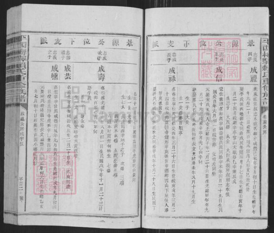 江西省抚州市广昌县驿前镇赖氏族谱-平西梅驿赖氏重修族谱.pdf电子版插图4 江西省抚州市广昌县驿前镇赖氏族谱-平西梅驿赖氏重修族谱.pdf电子版插图4