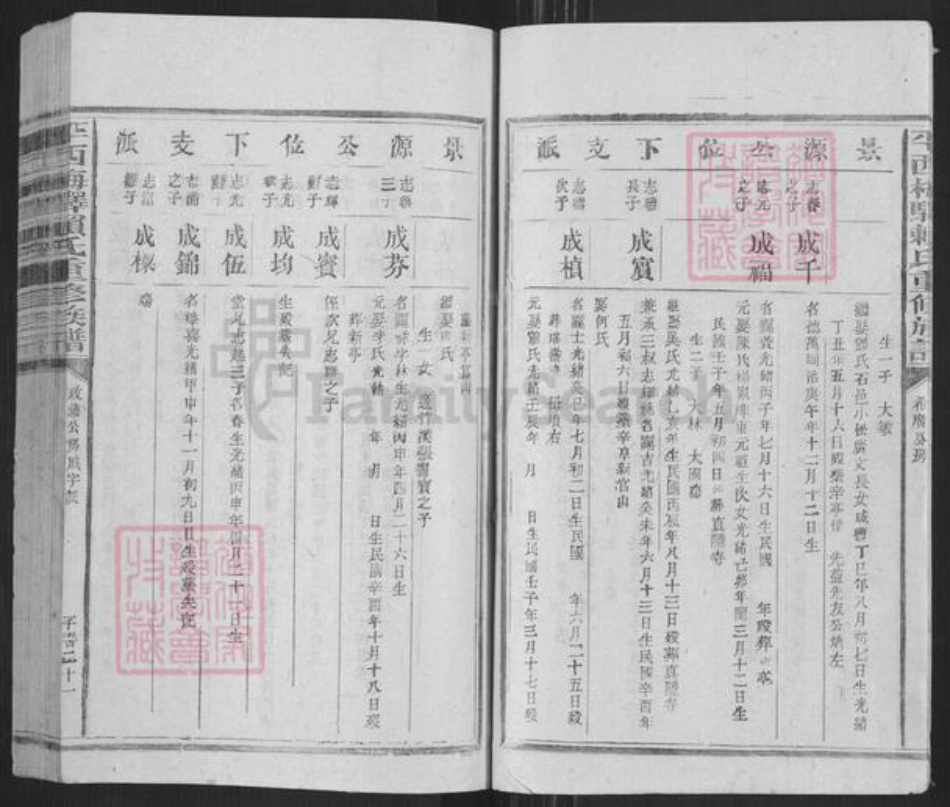 江西省抚州市广昌县驿前镇赖氏族谱-平西梅驿赖氏重修族谱.pdf电子版插图5 江西省抚州市广昌县驿前镇赖氏族谱-平西梅驿赖氏重修族谱.pdf电子版插图5