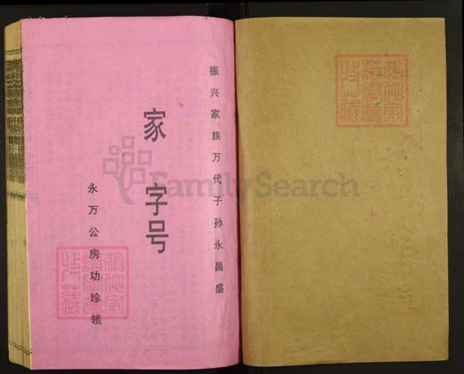 江西省赣州市宁都县赖氏族谱-宁都松阳赖氏士济祖十修族谱.pdf电子版插图1