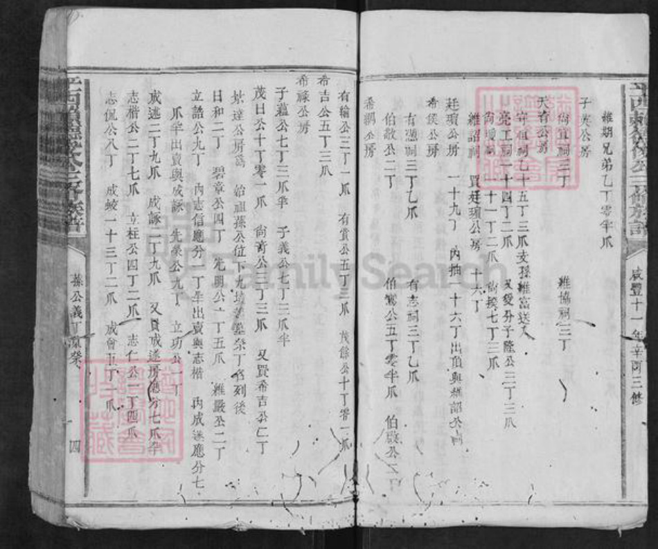 江西省抚州市广昌县驿前镇赖氏族谱-平西赖德俊公三修族谱.pdf电子版插图4 江西省抚州市广昌县驿前镇赖氏族谱-平西赖德俊公三修族谱.pdf电子版插图4