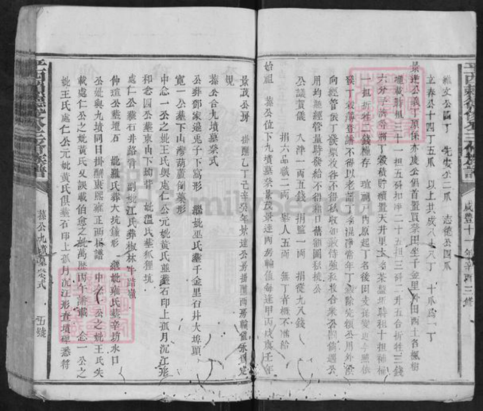 江西省抚州市广昌县驿前镇赖氏族谱-平西赖德俊公三修族谱.pdf电子版插图5 江西省抚州市广昌县驿前镇赖氏族谱-平西赖德俊公三修族谱.pdf电子版插图5