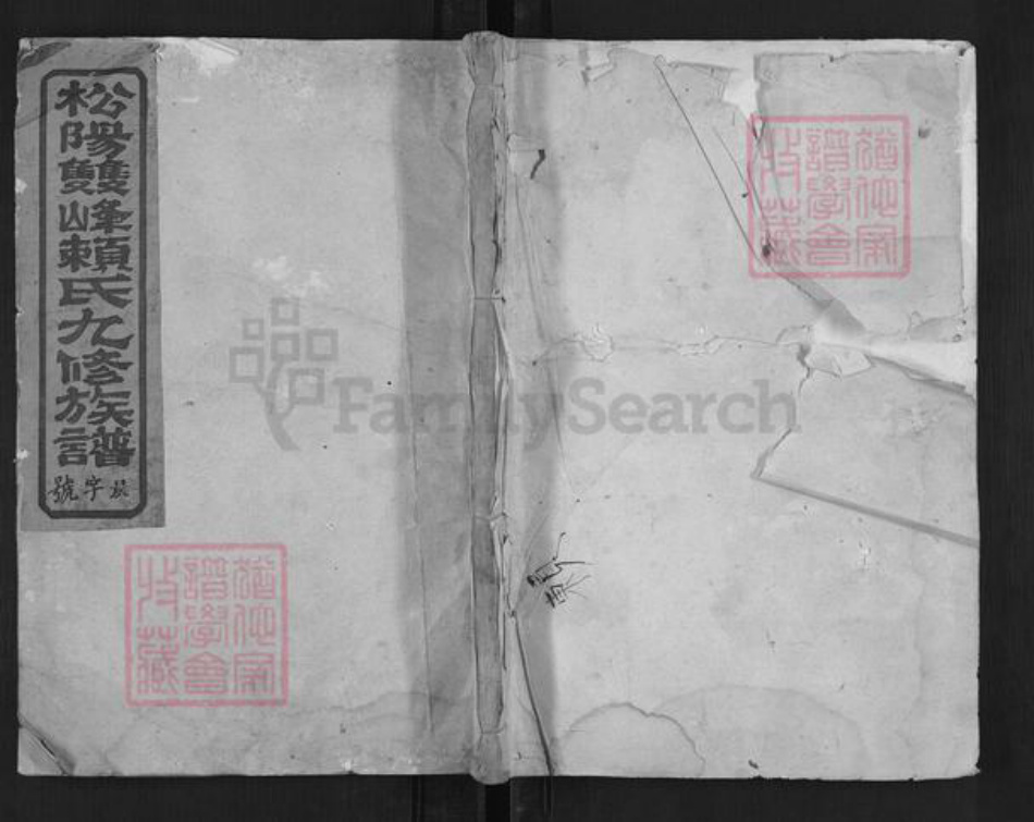 浙江省丽水市松阳县赖氏族谱-松阳双峰赖氏九修族谱.pdf电子版