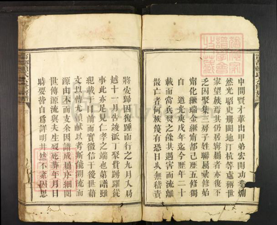 江西省赣州市宁都县梅江镇赖氏族谱-宁都赖氏六修房谱.pdf电子版插图3