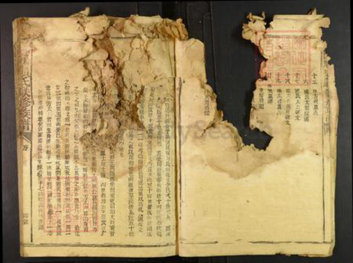 江西省赣州市宁都县梅江镇赖氏族谱-松阳赖氏联修族谱.pdf电子版插图4