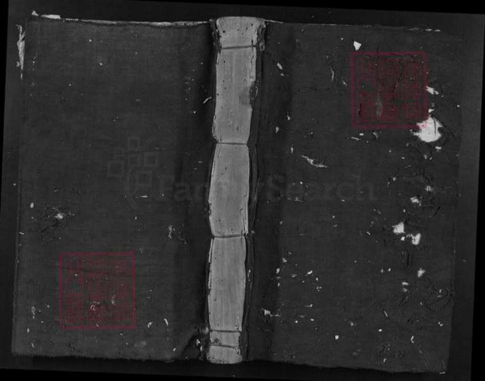 江西省赖氏族谱-南干赖氏南房谱[不分卷].pdf电子版