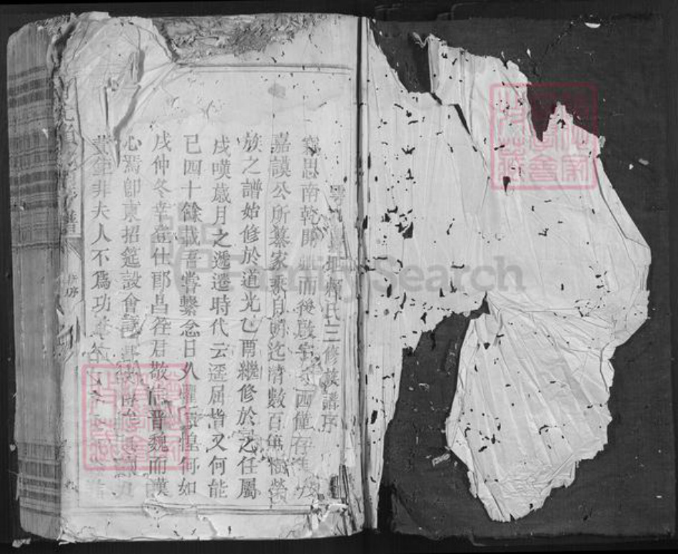 江西省赖氏族谱-南干赖氏南房谱[不分卷].pdf电子版插图1