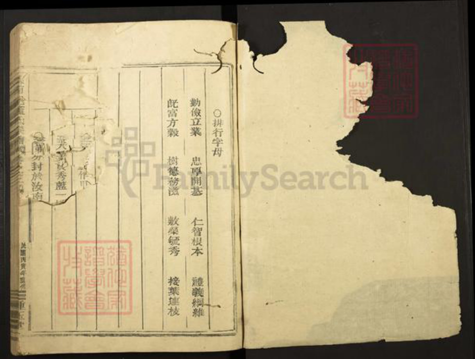 福建省蓝氏种玉堂族谱-汝南君邑蓝氏宗谱.pdf电子版插图1