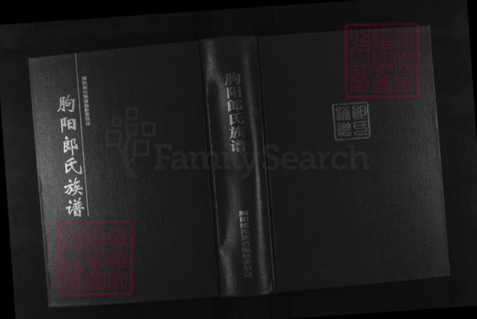 山东省潍坊市临朐县郎氏族谱-朐阳郎氏族谱.pdf电子版