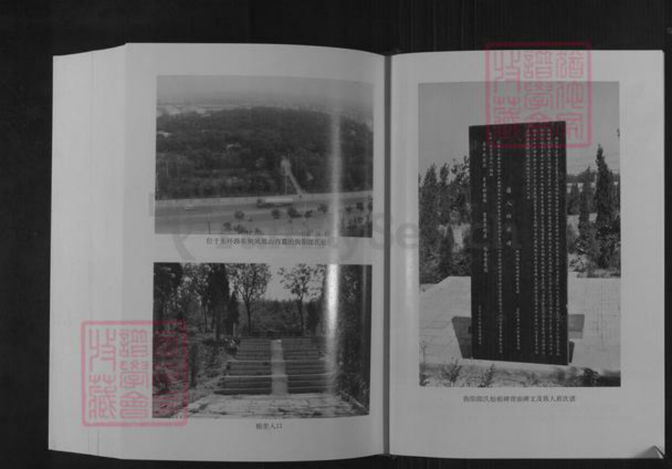 山东省潍坊市临朐县郎氏族谱-朐阳郎氏族谱.pdf电子版插图3