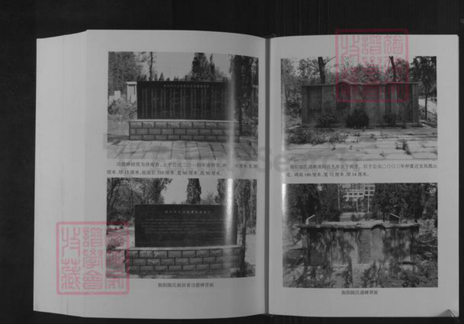 山东省潍坊市临朐县郎氏族谱-朐阳郎氏族谱.pdf电子版插图4