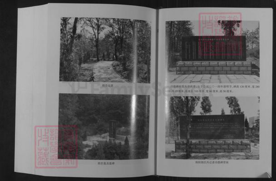 山东省潍坊市临朐县郎氏族谱-朐阳郎氏族谱.pdf电子版插图5