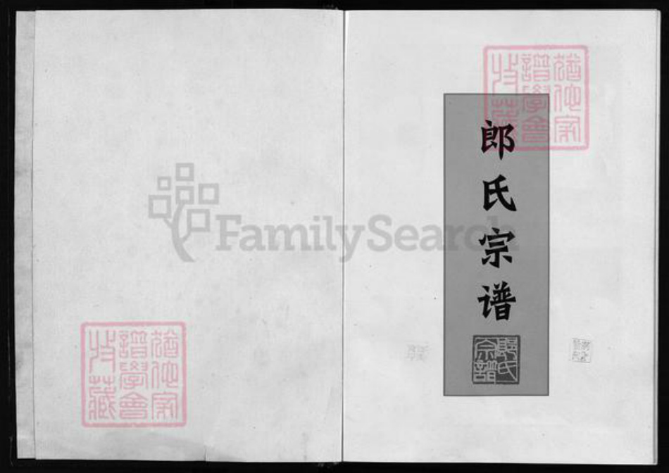 浙江省金华市永康市郎氏族谱-郎氏宗谱 [不分卷].pdf电子版插图1