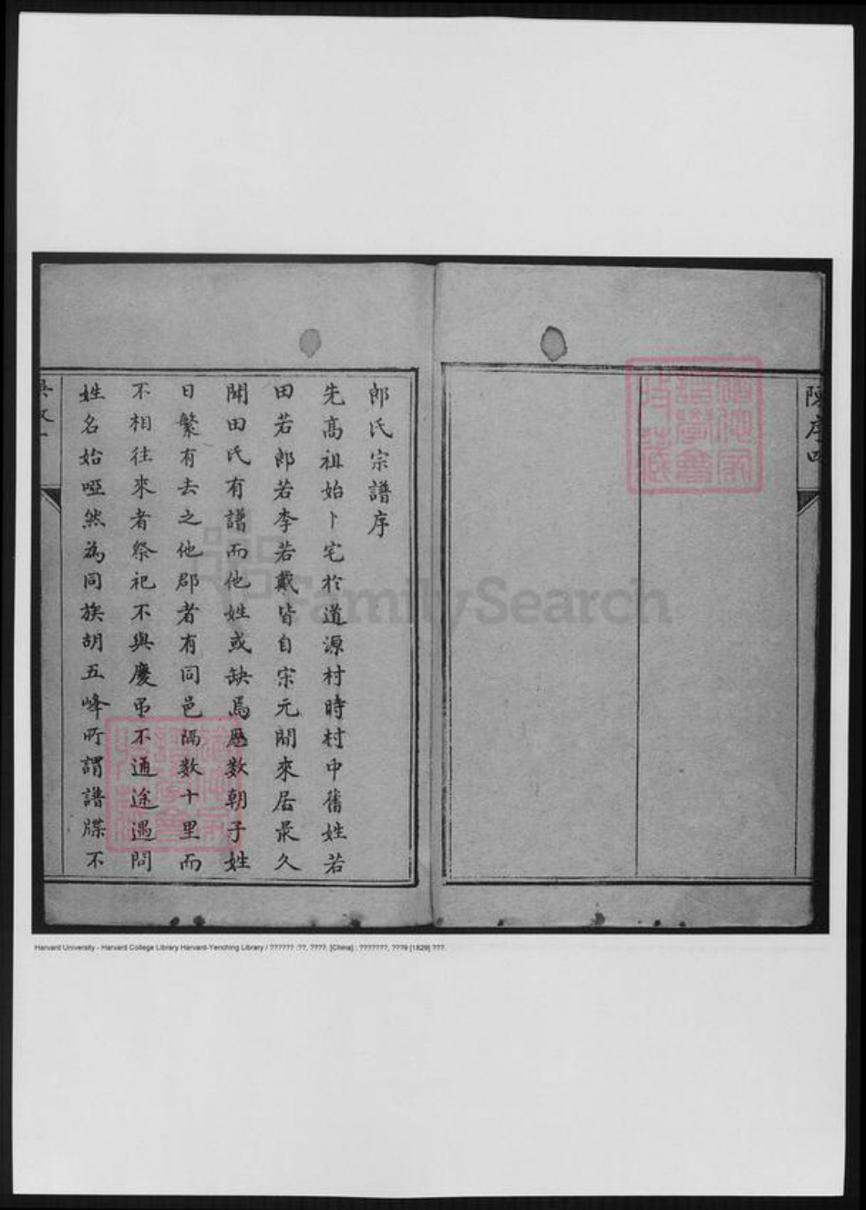 浙江省杭州市萧山区萧山郎氏族谱-萧山郎氏宗谱 [4卷,首1卷].pdf电子版插图5