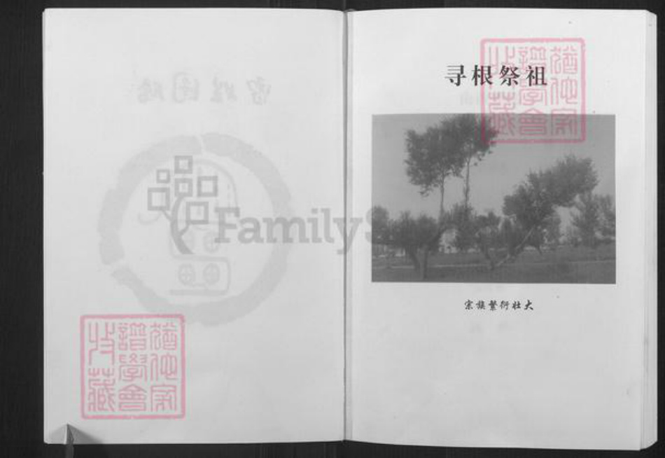 山西省朔州市朔城区雷氏族谱-雷氏家谱.pdf电子版插图3 山西省朔州市朔城区雷氏族谱-雷氏家谱.pdf电子版插图3