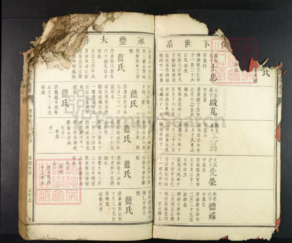 江西省赣州市兴国县崇贤乡雷氏族谱-𫎬兴源头山雷氏六修族谱.pdf电子版插图3 江西省赣州市兴国县崇贤乡雷氏族谱-𫎬兴源头山雷氏六修族谱.pdf电子版插图3