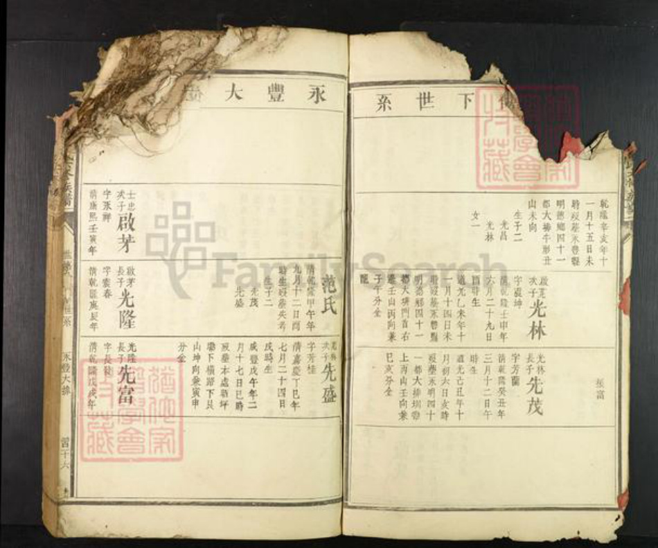 江西省赣州市兴国县崇贤乡雷氏族谱-𫎬兴源头山雷氏六修族谱.pdf电子版插图4 江西省赣州市兴国县崇贤乡雷氏族谱-𫎬兴源头山雷氏六修族谱.pdf电子版插图4