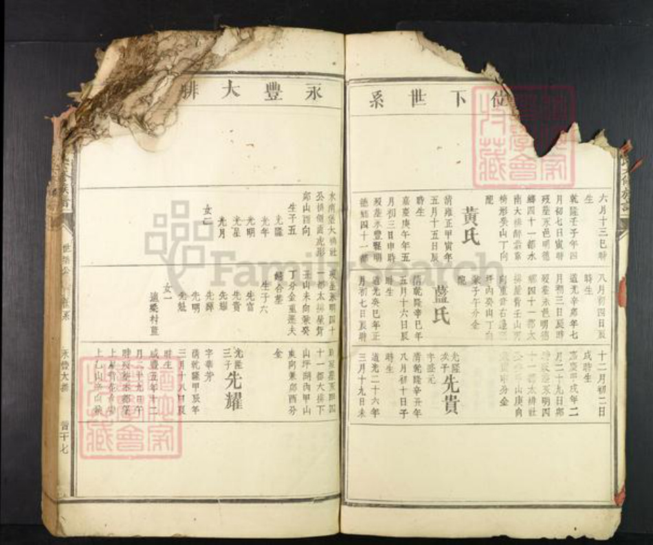 江西省赣州市兴国县崇贤乡雷氏族谱-𫎬兴源头山雷氏六修族谱.pdf电子版插图5 江西省赣州市兴国县崇贤乡雷氏族谱-𫎬兴源头山雷氏六修族谱.pdf电子版插图5