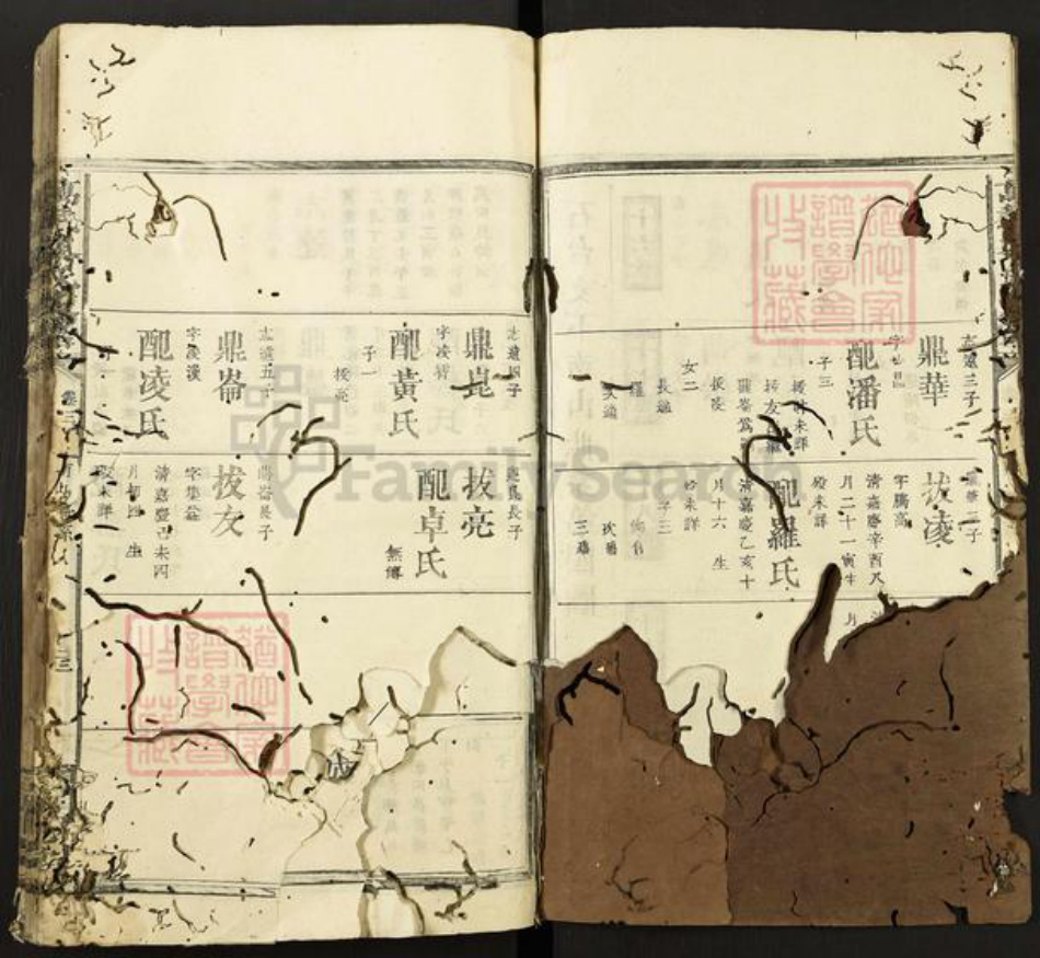 江西省宜春市万载县黎氏京兆堂族谱-万载黎氏族谱.pdf电子版插图2 江西省宜春市万载县黎氏京兆堂族谱-万载黎氏族谱.pdf电子版插图2