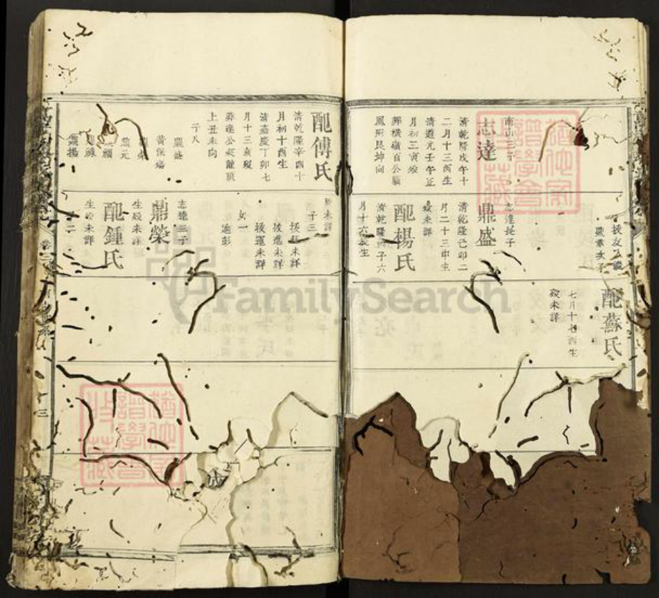 江西省宜春市万载县黎氏京兆堂族谱-万载黎氏族谱.pdf电子版插图3 江西省宜春市万载县黎氏京兆堂族谱-万载黎氏族谱.pdf电子版插图3